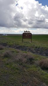 Express & - - Yakima Valley Wine By Ihg Hotel
